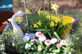 Najpiękniejsze ogrody w województwie śląskim. Trzeba je odwiedzić wiosną! Prezentują się zjawiskowo... Zobaczcie te kolory