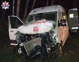 W Czerwonce w pow. lubartowskim jeleń wyskoczył na drogę i spowodował wypadek. Dwie osoby trafiły do szpitala