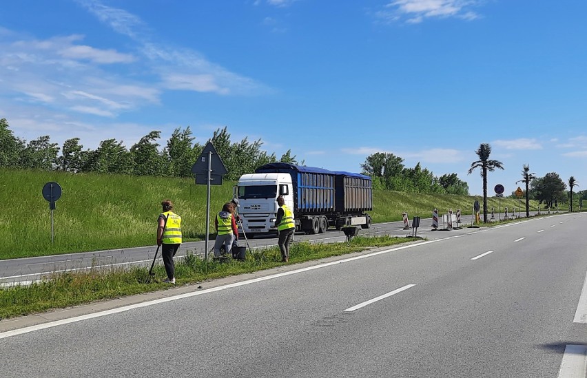 Pielenie nasadzeń przy Wisłostradzie w ciągu drogi...