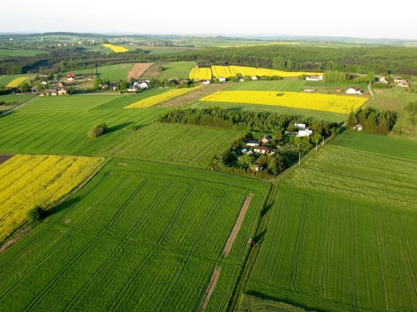 Jura Krakowsko-Częstochowska z lotu ptaka [ZDJĘCIA]