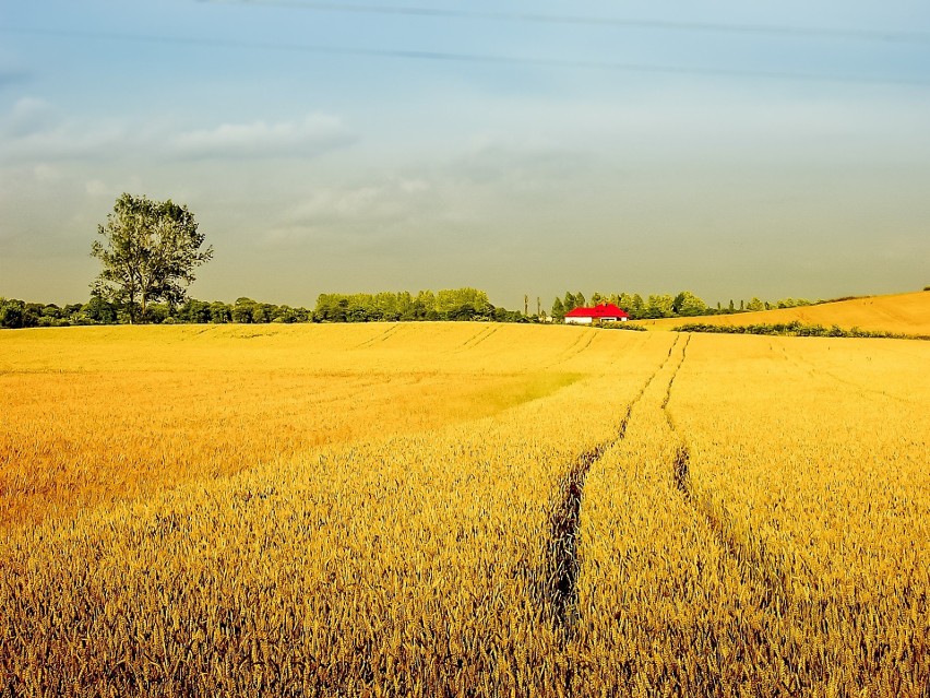 W tych gminach Polacy chcą mieszkać. Oto gminy z największym...