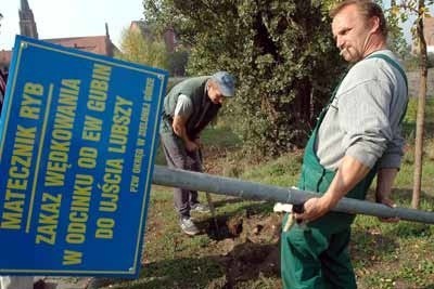 Krzysztof Barański i Piotr Telej ustawiają tablice wyznaczające matecznik. Tutaj będzie azyl dla szlachetnych ryb wędrownych