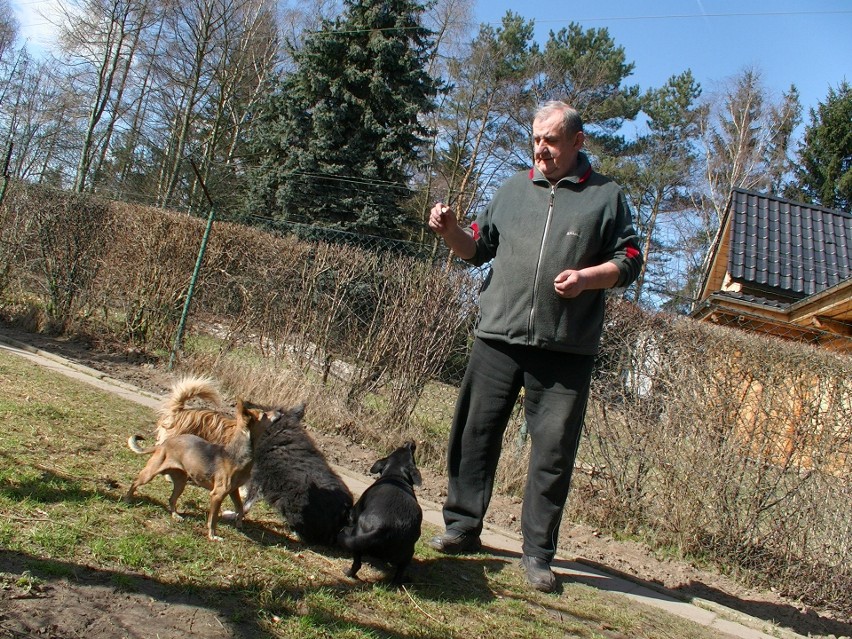 Schronisko w Chybach działa i ma się dobrze