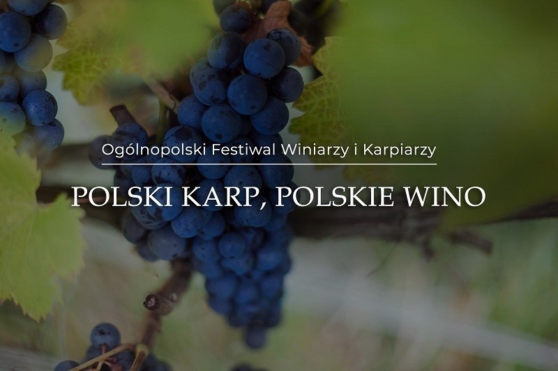 "Polski karp, polskie wino" - szykuje się świetna impreza w Rytwianach. Będą degustacje różnych potraw i win [PROGRAM]