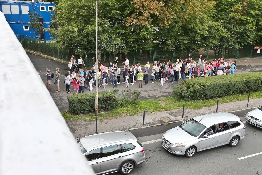 W weekend kolejki do zoo ciągnęły się sprzed kas przez...