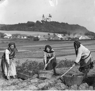 Październik 1941 rok. W tle widoczny klasztor Kamedułów na...