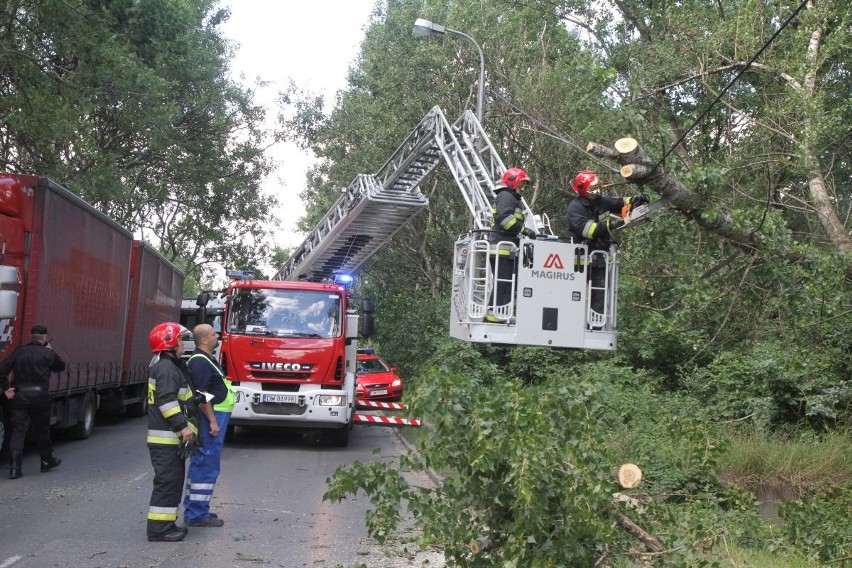 Przewrócone drzewo zablokowało ul. Opolską 