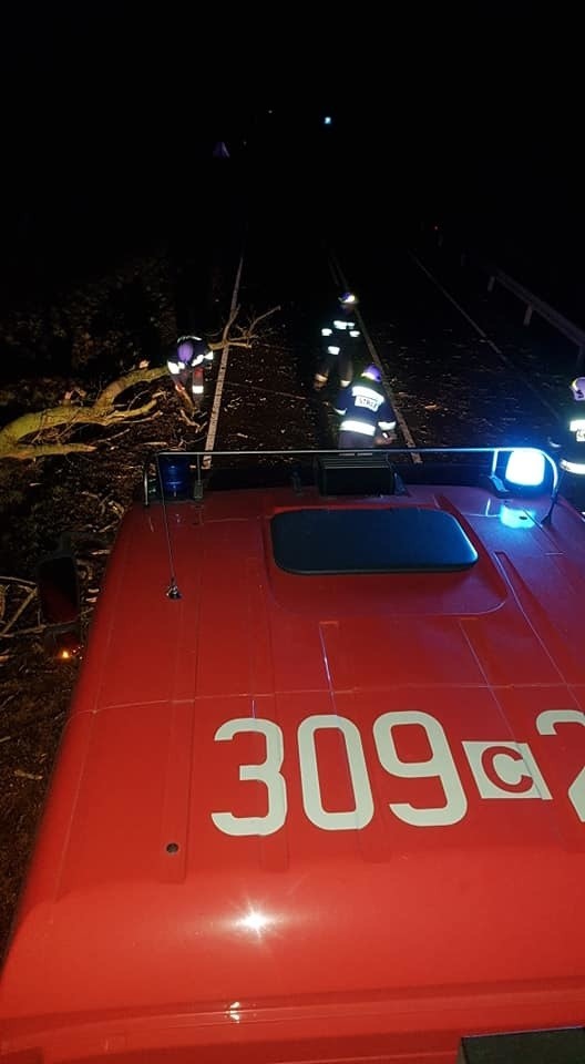 Niż Sabina w Polsce. Wichury wyrządzają spore szkody. Ponad...