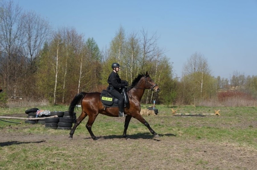 Kolejni policjanci konni zdali egzamin.