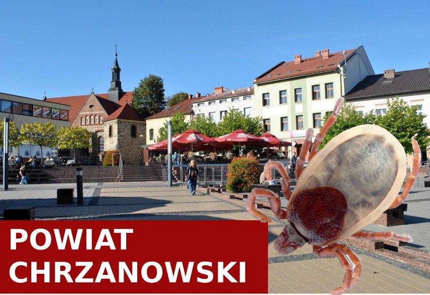 W tym zestawieniu wysoko jest również powiat chrzanowski. Tu...