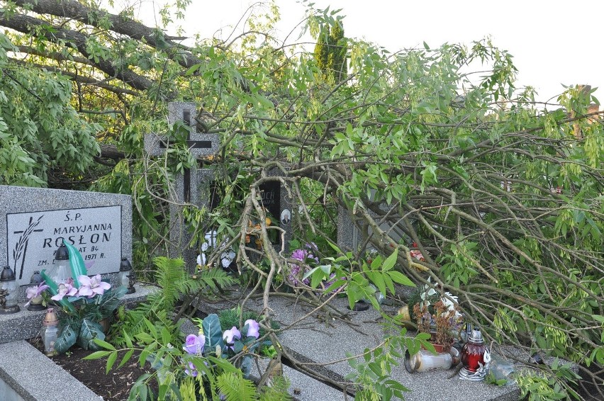 Skutki piątkowej nawałnicy. Zniszczone groby na cmentarzu w Różanie.