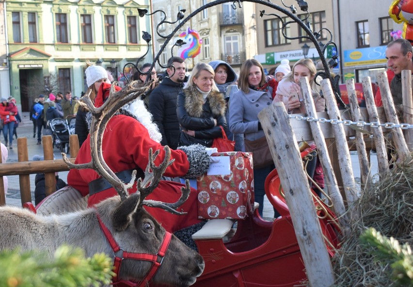 Święty Mikołaj na Rynku w Oświęcimiu. Rozbił swoje miasteczko pod wielką choinką, robił sobie zdjęcia z dziećmi i rozdawał prezenty ZDJĘCIA