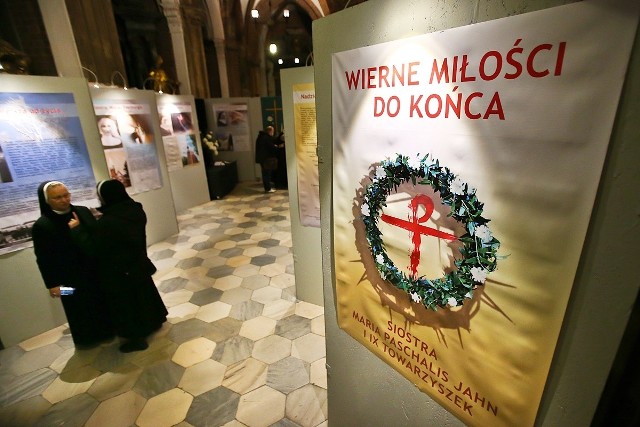 We wrocławskiej katedrze można od dziś (16 listopada) oglądać wystawę poświęconą, uznanym przez papieża Franciszka za męczenniczki, siostrom z zakonu Elżbietanek.