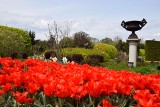 Ogrody Kapiasów w Goczałkowicach-Zdroju wiosną. Tam jest po prostu pięknie!