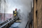 Pożar w kamienicy na Wildzie w Poznaniu. Mieszkanie podpalił mężczyzna poszukiwany przez policję