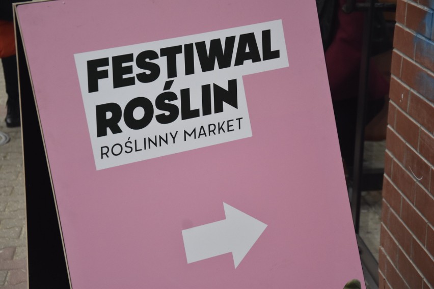 Festiwal Roślin odbywał się w Jastrzębiu po raz pierwszy,...