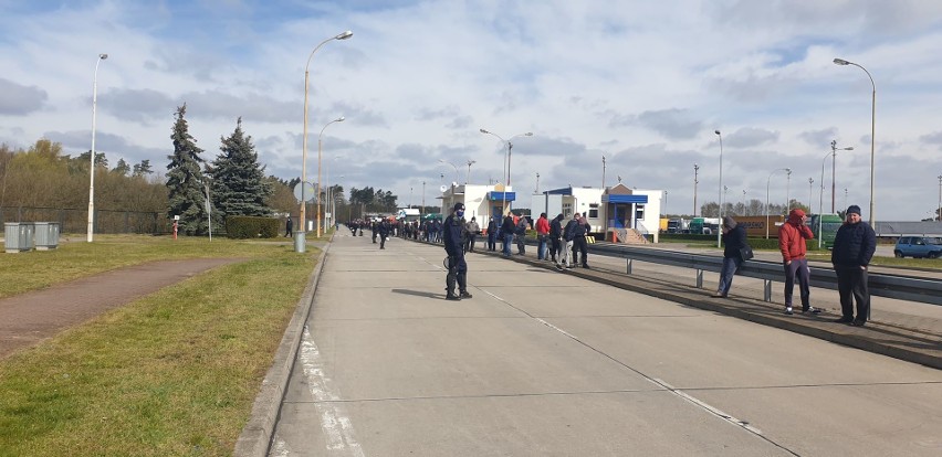 Przed TTOC w Świecku ustawiła się ogromna kolejka - to...