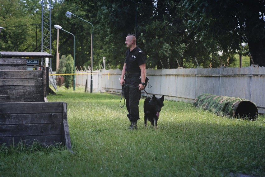 Najlepsze psy z małopolskiej policji w akcji [GALERIA]