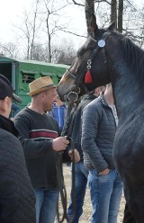 Proszowice. Kto przebuduje miejskie targowisko?