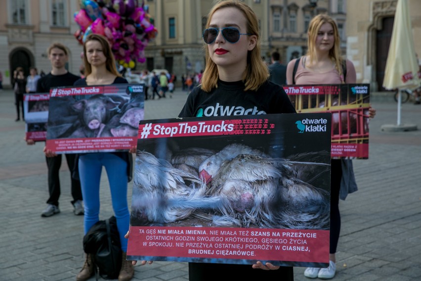 Protest Stowarzyszenia Otwarte Klatki [ZDJĘCIA]