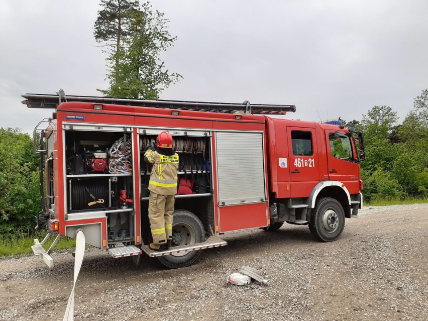 Pińczowscy strażacy ćwiczyli swe umiejętności na wypadek pożaru lasu [ZDJĘCIA]