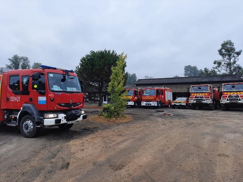 Nasi strażacy wracają do Polski. To oni pomagali w gaszeniu pożarów we Francji