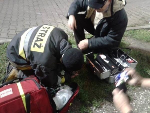 Strażacy z Choszczna uratowali psa z płonącego mieszkania [zdjęcia]
