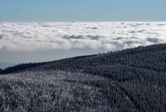Dywan z chmur nad Jelenią Górą i temperatury w mieście niższe niż na szczytach.  Zjawisko inwersji można często obserwować w Karkonoszach