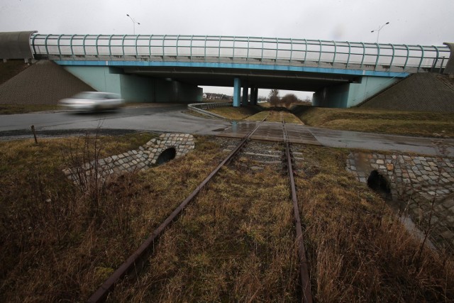 Tak wyglądają tory prowadzące niemal na samo lotnisko, na ulicę Graniczną. Byłoby to bezpośrednie połączenie na Wrocław Główny