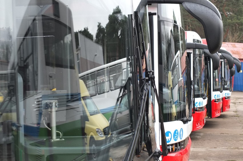 Wszystkie autobusy są już w Brodnicy. Zobaczcie zdjęcia