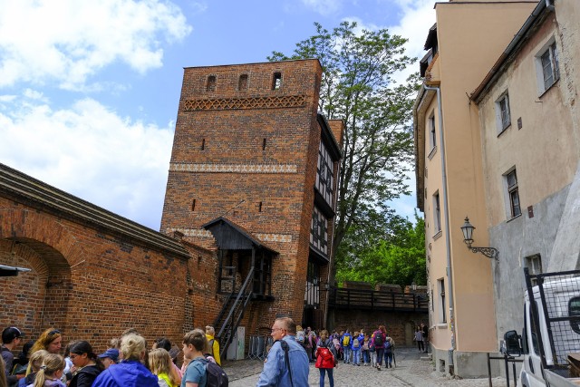 Na ten moment czekało wielu turystów - Krzywa Wieża w Toruniu znów jest otwarta dla zwiedzających. Wewnątrz pojawiła się nowa wystawa.