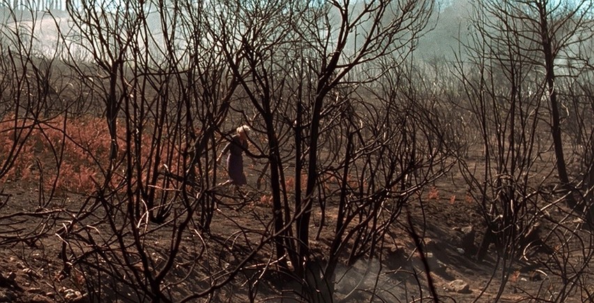 Kadr z filmu "Siła ognia"