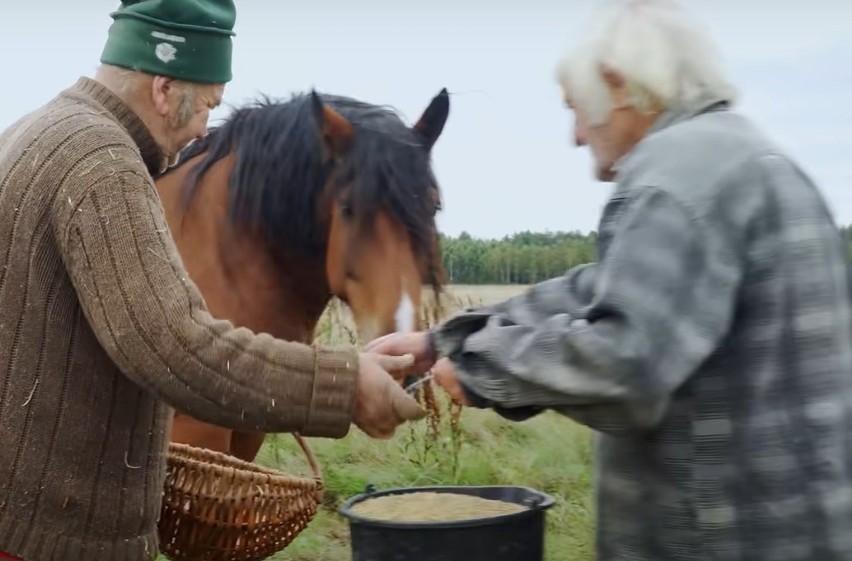 Rolnicy. Podlasie. Gienek i Jastrząb proszą o pomoc. Chodzi o nietypową sprawę (03.11.2021)