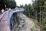 Ciężkowice. Ścieżka w koronach drzew i park zdrojowy są już gotowe na przyjęcie turystów