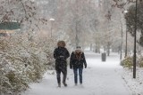 Prognoza pogody na niedzielę: Zima powoli odpuszcza