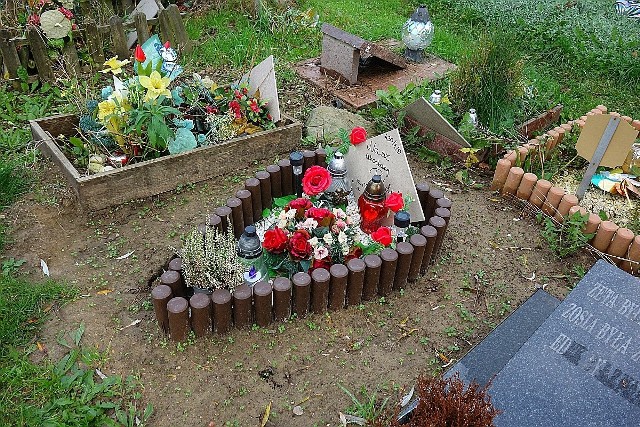 Przed Wszystkimi Świętymi łodzianie porządkują groby swoich pupili na cmentarzu dla zwierząt przy ul. Malowniczej. Na niektórych mogiłach już palą się znicze, stoją doniczki z wrzosami albo chryzantemami, leżą kwiatowe kompozycje.ZOBACZ ZDJĘCIA - KLIKNIJ DALEJ