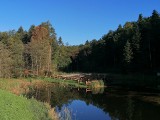 Pod Tarnowem powstał leśny deptak. Nowa atrakcja w Tuchowskim Lesie. To wręcz idealne miejsce na jesienne spacery!