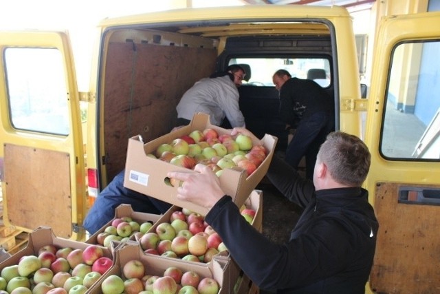 Nieprzyjęte przez Rosję polskie jabłka i warzywa trafiają do magazynu opolskiego Caritasu w Winowie. Stąd przewozi się je do parafii, gdzie wolontariusze przekazują je osobom w potrzebie.