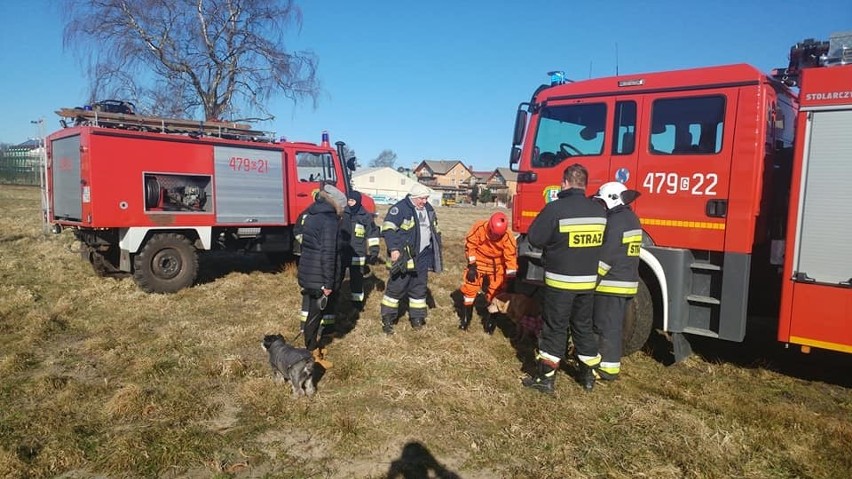 Strażacy z OSP Łeba uratowali topiącego się psa [zdjęcia] 