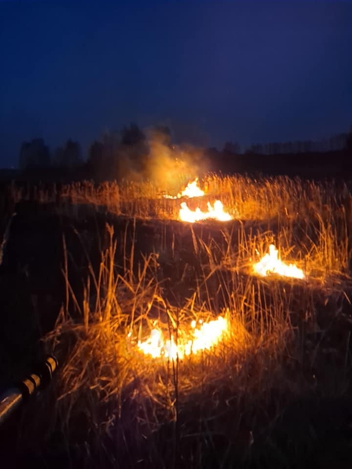 Podpalenia nieużytków i traw w gminie Borkowice. Strażacy gasili pożar w czwartek 16 grudnia. Zobacz zdjęcia