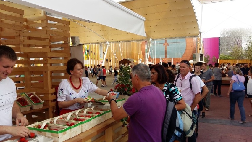 Kaszubskie truskawki na wystawie Expo 2015 w Mediolanie [ZDJĘCIA]