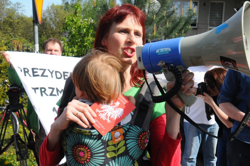 Kraków. Mieszkańcy chcą ochrony wielkiego dębu. Nazwali go Jacek. Ale i tak czeka go wycinka