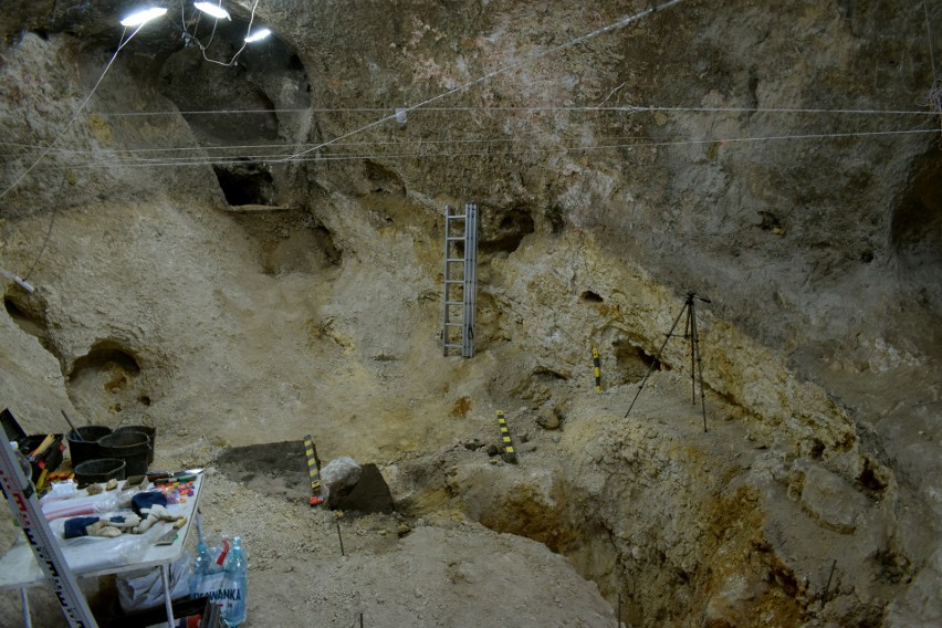 Sensacja archeologiczna koło Częstochowy. Narzędzia neandertalczyków sprzed 40 000 lat odnalezione pod zamkiem w Olsztynie