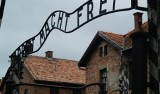 Oświęcim. Obywatel Izraela sikał na schody pomnika w Auschwitz Birkenau. Przyznał się do winy