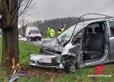 Śmiertelny wypadek na DK 75 w Uszwi, samochód osobowy uderzył w drzewo, są utrudnienia w ruchu. Zdjęcia