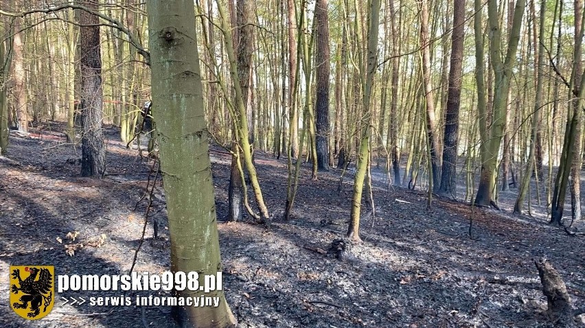 Płonął las we wsi Loryniec w poniedziałek, 10.05.2021 r.!...