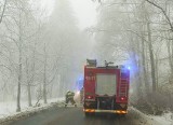 Śnieżyca w Łodzi i regionie! Drzewa nie wytrzymują ciężaru śniegu. Okiść uszkodziła 4 auta! Śnieg ciągle pada ZDJĘCIA
