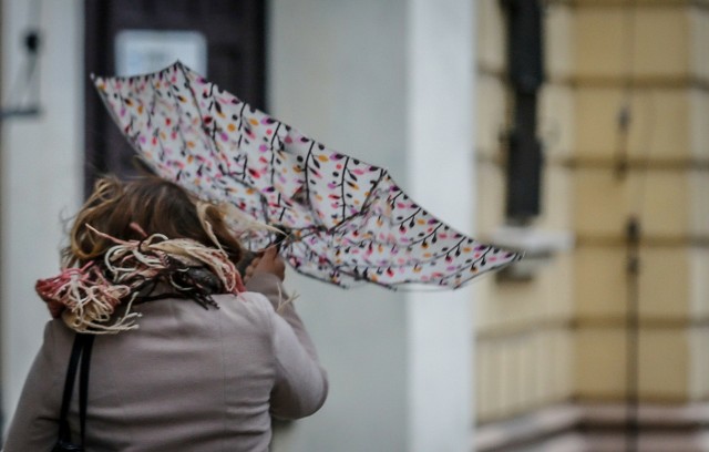 Silny wiatr oraz opady deszczu w środę prognozowane są również w rejonie Bydgoszczy. Porywy mogą dochodzić do 75 km/h