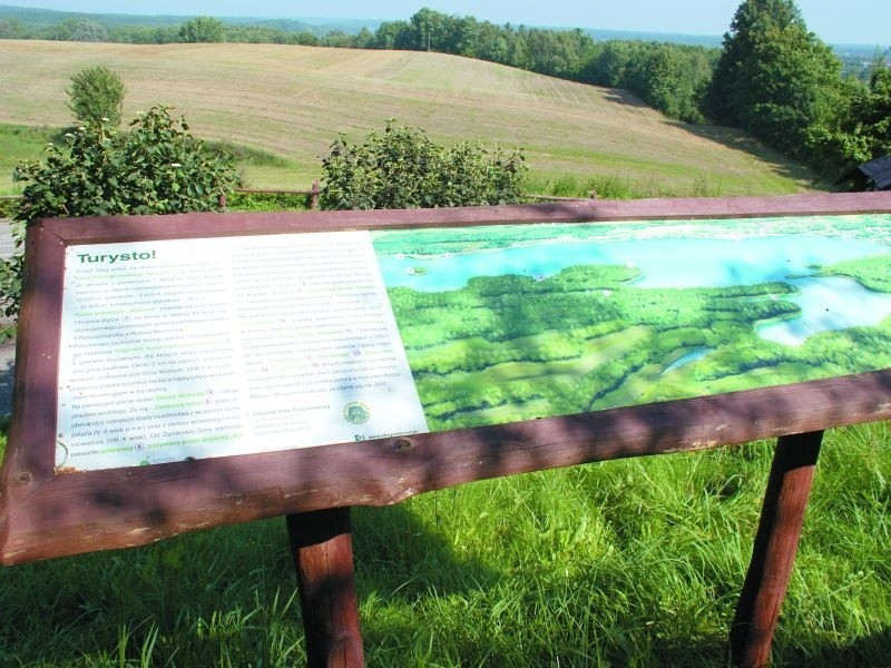 Plaża nad Jeziorem Charzykowskim