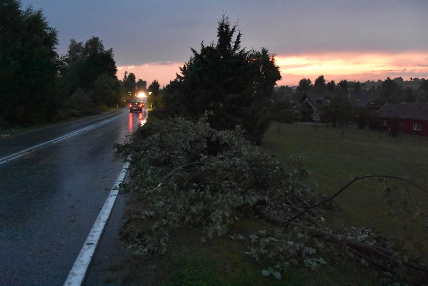 W Rożnowicach i Racławicach burza powaliła blisko 40 drzew